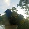 kuli.indonesia0