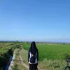 dryzz04