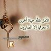 am_mahmud3