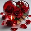 roble.qafar