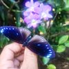 samrohah0211