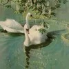 pinkflafijunikorns10