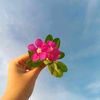 farhana.akter8997