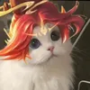 kotnnhe