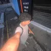 idgomesz