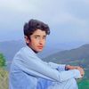 arshadarshad1351