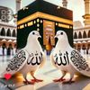 user3084631136561