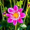 hello___xoxo