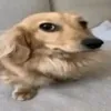 nickfilhodecristo