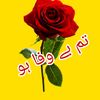 user2382238222