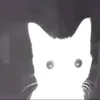 .t.b.z8