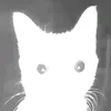 i.luke.cats