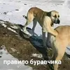 gnida_kryto