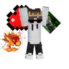 hdii.s