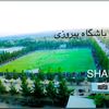 amin64621