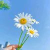 user999120612131