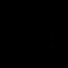 egyp733