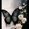 user6120827702035
