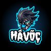 havoc__56