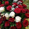 user8574374262388