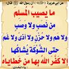 asma.muhammed92