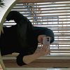 vanilla_2890