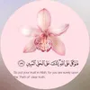 niaama574