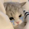 nana_775440