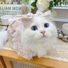 Pets Cat