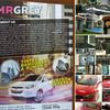 mrgrey.tintshop