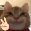 depvadam4