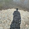 alex.tollan5