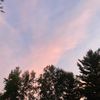 kirtlyn_izzy