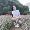 hathidao13
