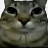 eg0r_p0mid0r