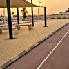 aleem4570
