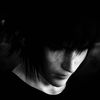 luzii_butterfly