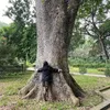 xiaoweiiii1