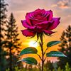 meghaislam631