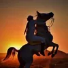 ابراهيم الشمري