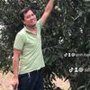 day.song43