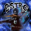 estro.33.bs