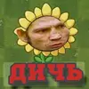 pvzdiche2970