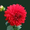 user584508619914
