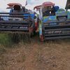 alip59082