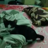 phng.nguyn.vn527