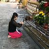 htay0867