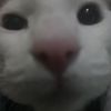 miguelalwayshungr