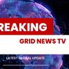 Gridnews Tv
