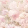 that_onehelpolgirl